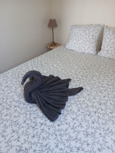 Photo de galerie - Lingerie - Repassage