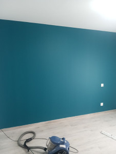 Photo de galerie - Peinture ?
