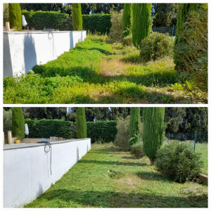 Photo de galerie - Débroussaillage