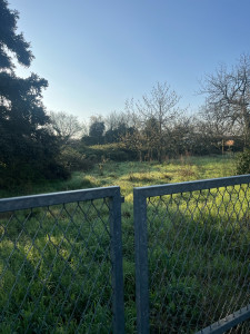 Photo de galerie - Tonte de pelouse - Débroussaillage