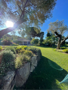 Photo de galerie - Paysagiste - Aménagement du jardin