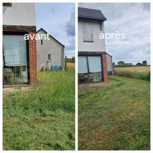 Photo de galerie - Tonte