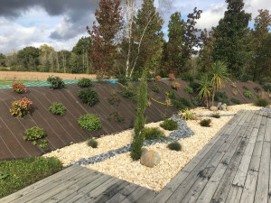 Photo de galerie - Taille 