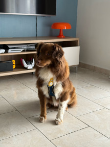 Photo de galerie - Olaf