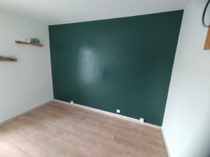 Photo de galerie - Peinture toute la chambre avec un tête de lit couleur différente ( Vert bouteille)
