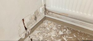 Photo de galerie - Plâtrerie - Murs - Plafonds