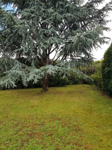 Photo de galerie - Entretien de jardin