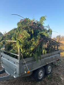 Photo de galerie - Évacuation des déchets verts