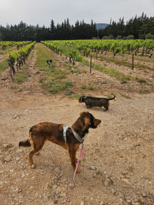 Photo de galerie - Deux semaines super avec Arya, Nelia et Audin ???
