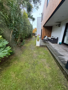 Photo de galerie - Nettoyage pelouse et abords 