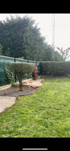 Photo de galerie - Entretien jardin