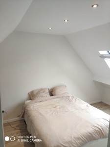 Photo de galerie - Aménagement des combles 