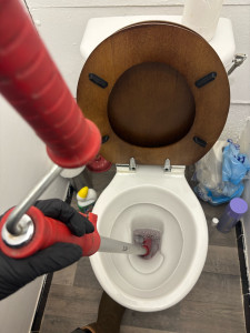 Photo de galerie - Débouchage toilettes 