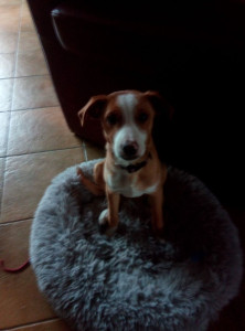 Photo de galerie - Ako 5 mois ❤️