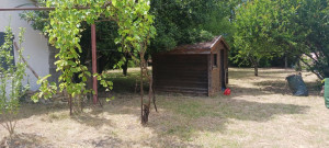 Photo de galerie - Tonte de pelouse - Débroussaillage