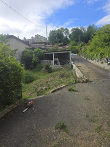 Photo de galerie - Abattage d arbre