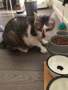 Photo de galerie - Ici la petite rikiki que je garde dès que sa maman part en week-end prolongé ou en vacances 