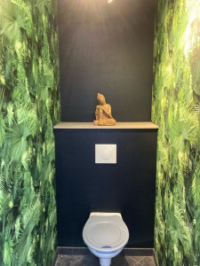 Photo de galerie - Rafraîchissement d’un toilette complet