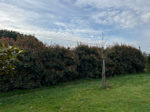 Photo de galerie - Rabbatage hauteur 