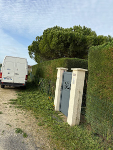 Photo de galerie - Taille de haie en cours