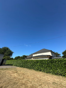 Photo de galerie - Taille d’une haie de 32m