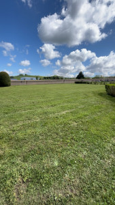 Photo de galerie - Tonte- débroussaillage 