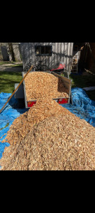 Photo de galerie - Paillages massif copeaux de bois 
