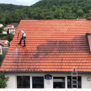 Photo de galerie - Netoilage