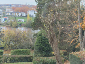 Photo de galerie - élagage avant un futur abattage 