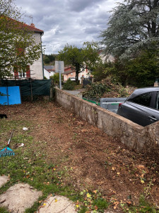 Photo de galerie - Abattage de 8m de thuya après intervention 