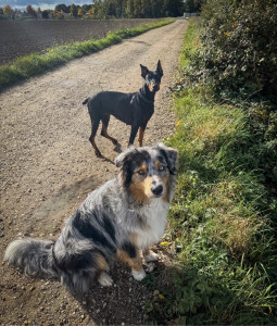 Photo de galerie - Balade entre copain 