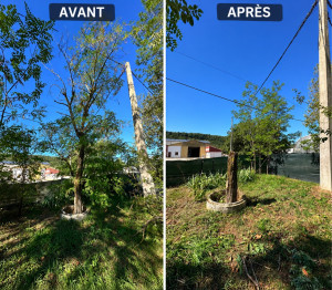 Photo de galerie - Abbatage d’arbre sur Sisteron , la souche sera enlevé très prochainement … 