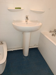 Photo de galerie - Remplacement colonne de lavabo, mitigeur et vasque 