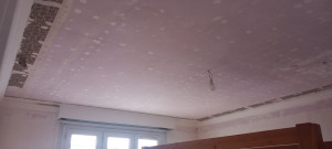 Photo de galerie - Rénovation plafond. Avant