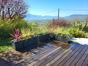 Photo de galerie - Plantation en jardinière.