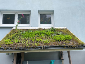 Photo de galerie - Création de toit végétal 