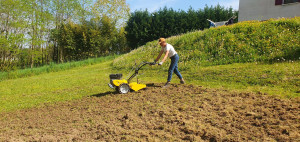 Photo de galerie - Paysagiste - Aménagement du jardin
