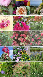 Photo de galerie - Mise en place de fleurs ? 