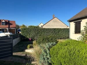 Photo de galerie - Taille de haie 