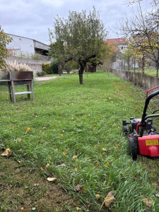 Photo de galerie - Tonte de pelouse - Débroussaillage