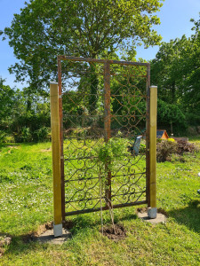 Photo de galerie - Paysagiste - Aménagement du jardin