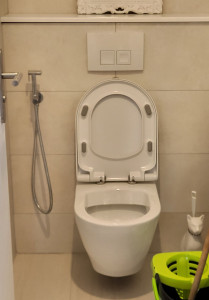 Photo de galerie - -pose du bati suport 
-pose de wc suspendu 
-pose cuvette wc 
- pose douchette wc 