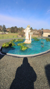 Photo de galerie - Paysagiste - Aménagement du jardin