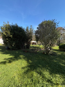 Photo de galerie - Débroussailleuse 