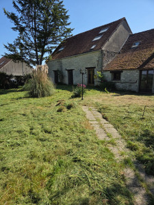 Photo de galerie - Debroussaillage 