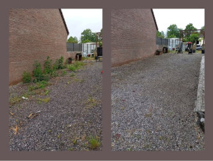 Photo de galerie - Jardinier