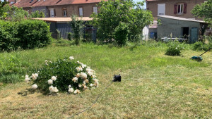 Photo de galerie - Tonte d’un jardin 
