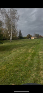 Photo de galerie - Tonte de pelouse 