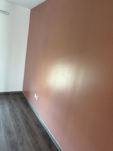 Photo de galerie - Finition de la peinture