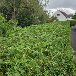 Photo de galerie - A niveau 